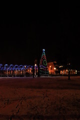 Новогодняя ель.