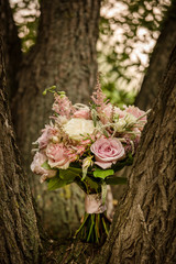 White and pink rose bouquet on tree