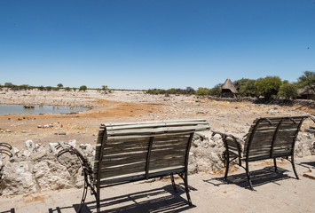 Rear view of young man observing animals in african savanna, Etosha National Park, Namibia. Africa.