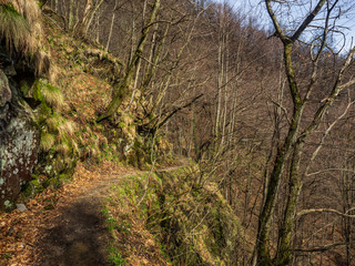 Hiking Trail in Valgrande National Park