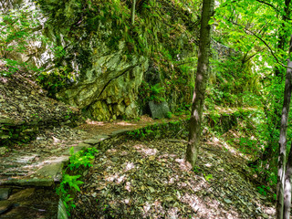 View of Hiking Trail in Val Grande National Park