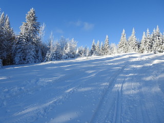  Traces of snowmobiling at the recreation field, Sainte-Apolline, Quebec, Canada