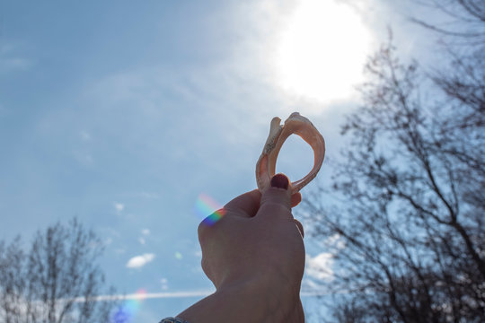 A girl holds rapane in the direction of sunlight.