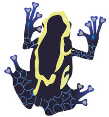 Obraz premium Vector Poison Dart Frog
