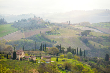 Typical Tuscan landscape