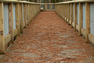 Obraz premium Bridge over a swamp