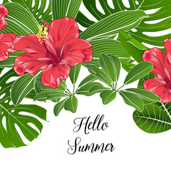 Tropical pattern with green exotic leaves and orange paradise flower of hibiscus.