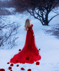 The bloody Countess Batory. girl like gorgeous flower, rosebuds fall on white and cold snow, lady...