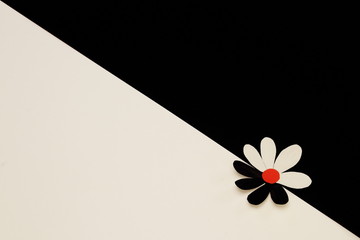 Stylized decorative flower made of white, black, red paper on border of white and black background....