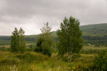Grey sky with a lot of clouds in the early autumn sky over green fields, trees, forests and huge mountains. A lot of meadow herbs around. Day. Travel through nature landscape