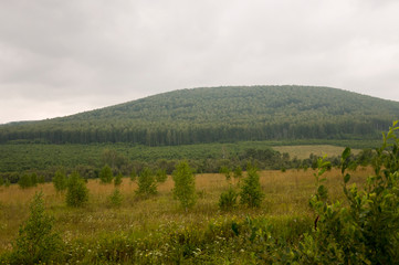 Grey sky with a lot of clouds in the early autumn sky over green fields, trees, forests and huge...