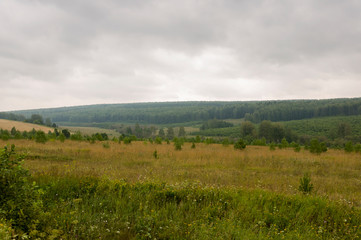 Grey sky with a lot of clouds in the early autumn sky over green fields, trees, forests and huge mountains. A lot of meadow herbs around. Day. Travel through nature landscape