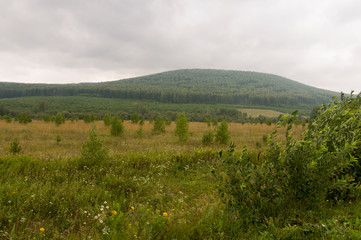 Grey sky with a lot of clouds in the early autumn sky over green fields, trees, forests and huge...