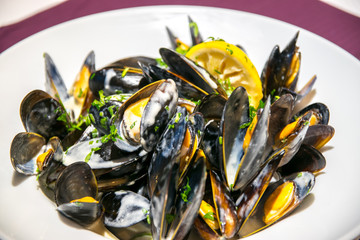 Shellfish Mussels in white sauce. Shellfish seafood. Close up and selective focus
