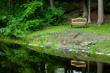 bench in the park