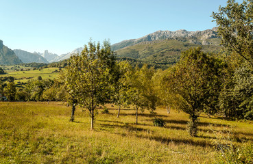Fototapeta na wymiar Mountains in the peaks of Europe in the north of Spain in the province of Asturias on a sunny day.