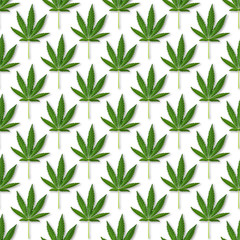 Hemp or cannabis leaves seamless pattern.