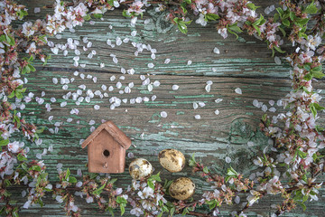 Beautiful easter greeting card: quail eggs, wooden house and cherry blossom frame on old wooden background