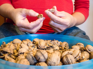Woman hands sorting out walnuts above a bowl of walnuts.