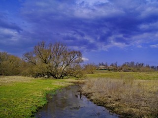 Spring landscape with river and trees