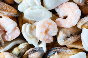 Frozen Seafood Selection Background