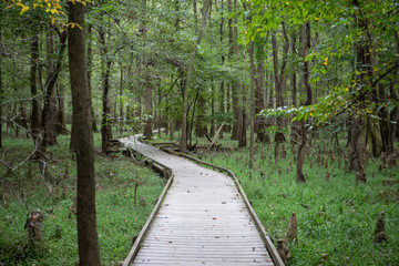 Congaree National Park,  South Carolina