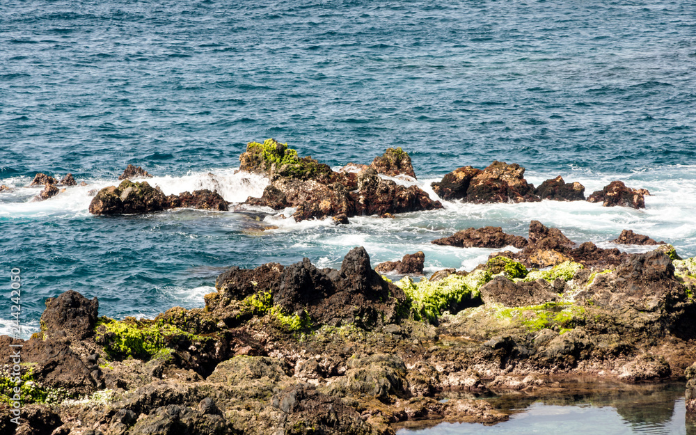 Wall mural waves breaking along the rocks in tenerife, in the canary islands on a sunny day.