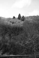 Steep Hill Mountain Forest Winter Landscpae with Snow