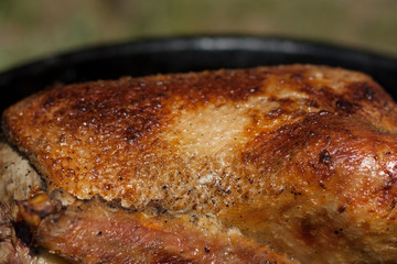 Roasted duck chicken with crispy skin photo