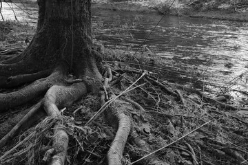 Flood at a River