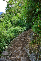 Obraz premium Stiege in Machu Picchu, Peru