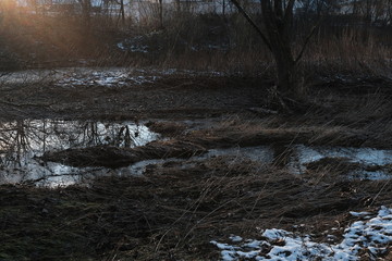 Flood and River Down Under