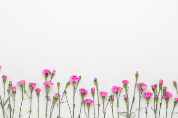 Obraz na płótnie Canvas Pink carnation flowers on white background. Flat lay, top view, copy space.