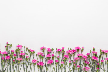 Obraz na płótnie Canvas Pink carnation flowers on white background. Flat lay, top view, copy space.