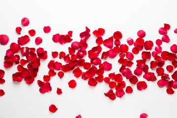 Valentine's Day. Rose flowers petals on white background. Valentines day background. Flat lay, top view, copy space.