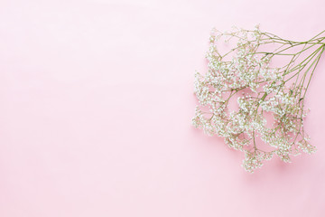 Flowers composition. Gypsophila flowers on pastel pink background. Flat lay, top view, copy space