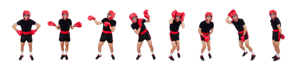 Funny boxer isolated on the white