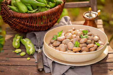 Tasty broad beans in a small greenhouse