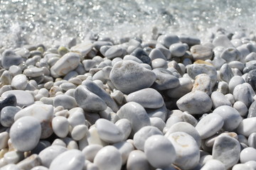 Whites stones on the beach of Pisa in Italy in September