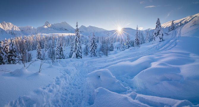Obraz Hala Gasienicowa - Tatry, zima 01.2019