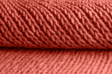 Foliage with the main trendy living coral color of the year 2019.