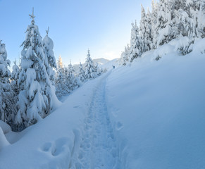 Góry, zima - Tatry 2019 rok © grzegorz_pakula