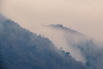 View of foggy mountain with trees