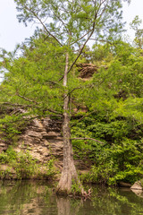 Beavers Bend State Park