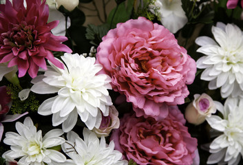 Flowers in the garden