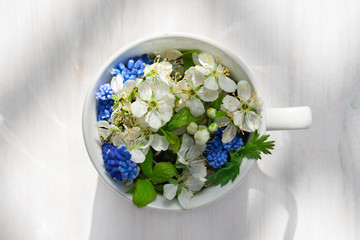 Cup full of flowers top view, Healthy herbal tea and home remedy or cosmetic treatment, Spring in a mug