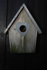 Mystical bird house