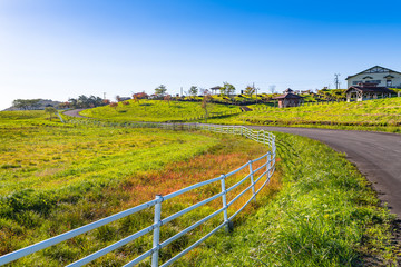 Fototapeta na wymiar 宮城栗駒高原の牧場のフェンスに囲まれた放牧場