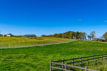 宮城栗駒高原の牧場のフェンスに囲まれた放牧場