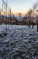 Stuttgart Winter
